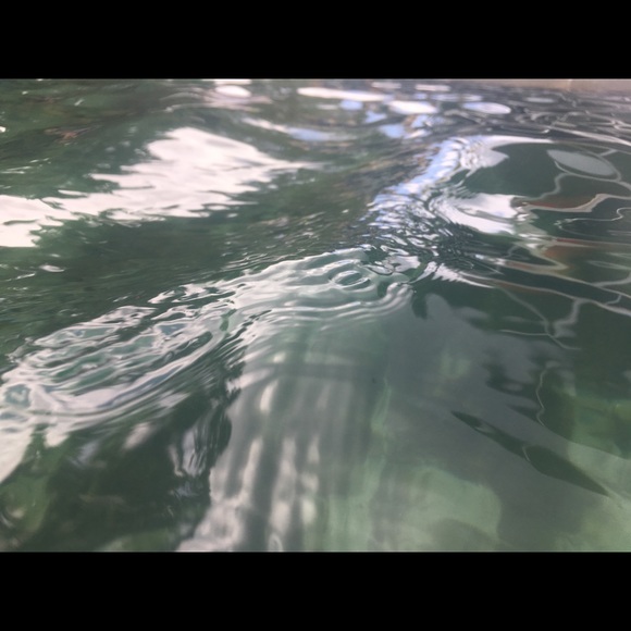 freshwaterlife